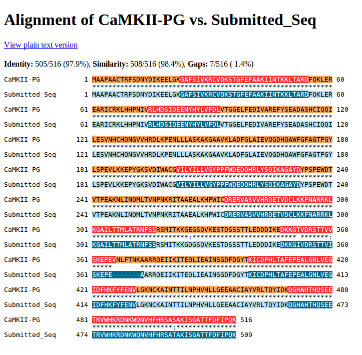 CaMKII-PG